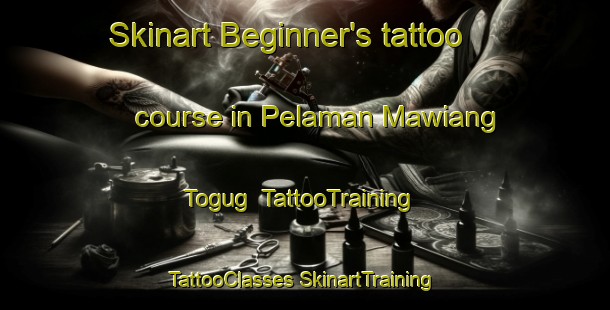 Skinart Beginner's tattoo course in Pelaman Mawiang Togug | #TattooTraining #TattooClasses #SkinartTraining-Malaysia