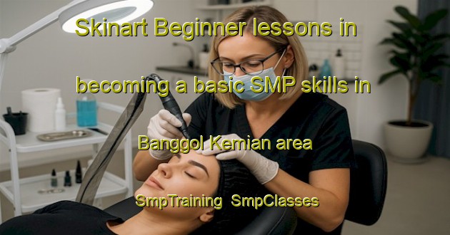 Skinart Beginner lessons in becoming a basic SMP skills in Banggol Kemian area | SmpTraining | SmpClasses | SkinartTraining-Malaysia
