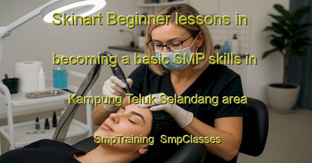 Skinart Beginner lessons in becoming a basic SMP skills in Kampung Teluk Selandang area | SmpTraining | SmpClasses | SkinartTraining-Malaysia