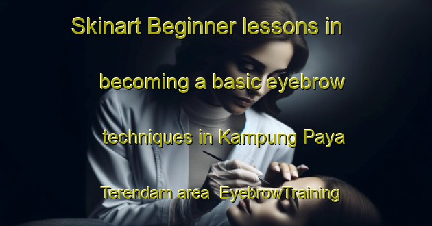 Skinart Beginner lessons in becoming a basic eyebrow techniques in Kampung Paya Terendam area | EyebrowTraining | EyebrowClasses | SkinartTraining-Malaysia