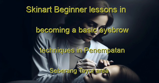 Skinart Beginner lessons in becoming a basic eyebrow techniques in Penempatan Seberang Tayur area | EyebrowTraining | EyebrowClasses | SkinartTraining-Malaysia
