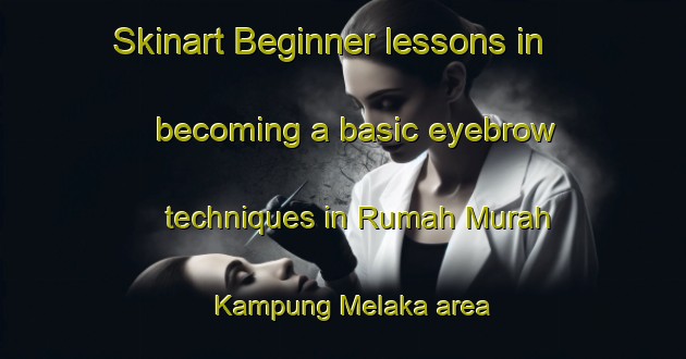 Skinart Beginner lessons in becoming a basic eyebrow techniques in Rumah Murah Kampung Melaka area | EyebrowTraining | EyebrowClasses | SkinartTraining-Malaysia