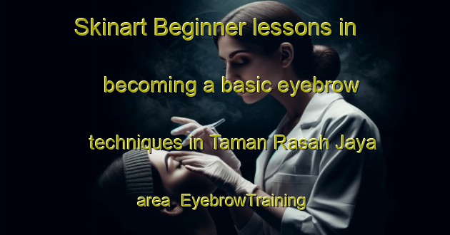 Skinart Beginner lessons in becoming a basic eyebrow techniques in Taman Rasah Jaya area | EyebrowTraining | EyebrowClasses | SkinartTraining-Malaysia