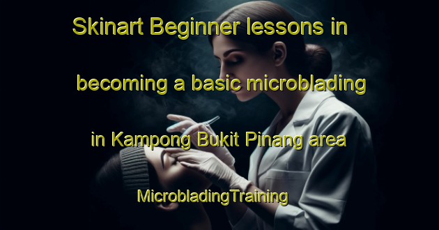 Skinart Beginner lessons in becoming a basic microblading in Kampong Bukit Pinang area | MicrobladingTraining | MicrobladingClasses | SkinartTraining-Malaysia