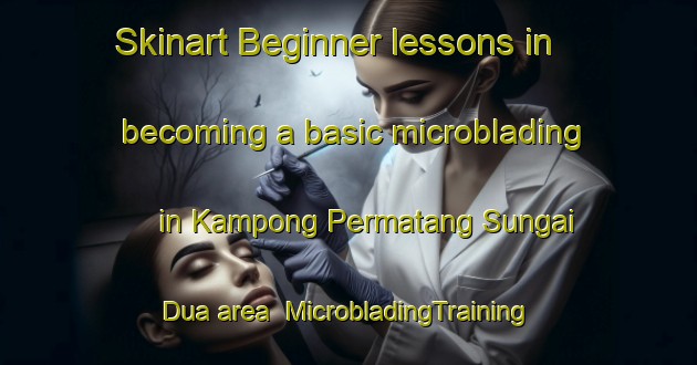 Skinart Beginner lessons in becoming a basic microblading in Kampong Permatang Sungai Dua area | MicrobladingTraining | MicrobladingClasses | SkinartTraining-Malaysia