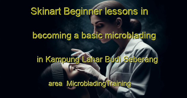 Skinart Beginner lessons in becoming a basic microblading in Kampung Lahar Budi Seberang area | MicrobladingTraining | MicrobladingClasses | SkinartTraining-Malaysia