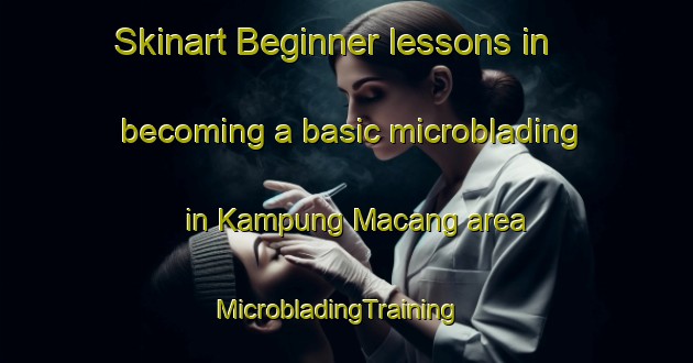 Skinart Beginner lessons in becoming a basic microblading in Kampung Macang area | MicrobladingTraining | MicrobladingClasses | SkinartTraining-Malaysia