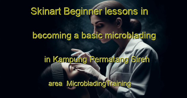 Skinart Beginner lessons in becoming a basic microblading in Kampung Permatang Sireh area | MicrobladingTraining | MicrobladingClasses | SkinartTraining-Malaysia