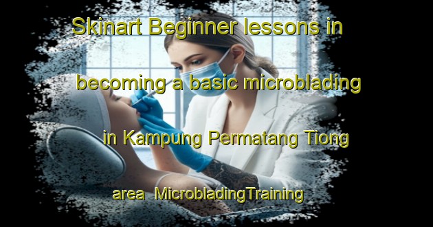 Skinart Beginner lessons in becoming a basic microblading in Kampung Permatang Tiong area | MicrobladingTraining | MicrobladingClasses | SkinartTraining-Malaysia
