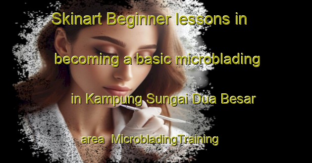Skinart Beginner lessons in becoming a basic microblading in Kampung Sungai Dua Besar area | MicrobladingTraining | MicrobladingClasses | SkinartTraining-Malaysia