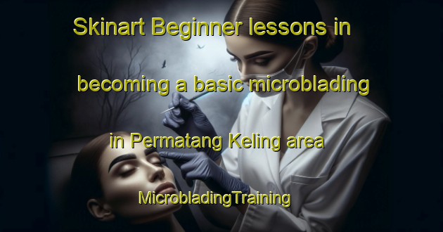 Skinart Beginner lessons in becoming a basic microblading in Permatang Keling area | MicrobladingTraining | MicrobladingClasses | SkinartTraining-Malaysia