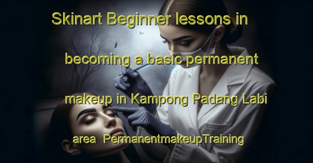 Skinart Beginner lessons in becoming a basic permanent makeup in Kampong Padang Labi area | PermanentmakeupTraining | PermanentmakeupClasses | SkinartTraining-Malaysia