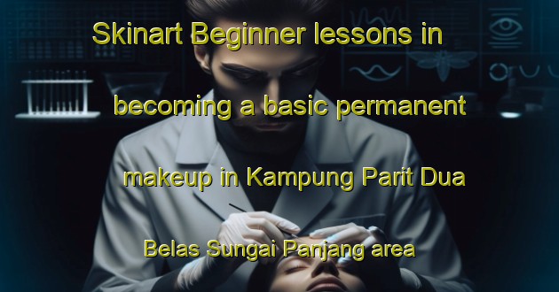 Skinart Beginner lessons in becoming a basic permanent makeup in Kampung Parit Dua Belas Sungai Panjang area | PermanentmakeupTraining | PermanentmakeupClasses | SkinartTraining-Malaysia