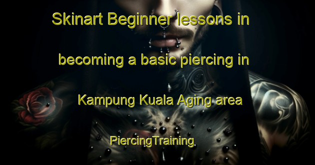 Skinart Beginner lessons in becoming a basic piercing in Kampung Kuala Aging area | PiercingTraining | PiercingClasses | SkinartTraining-Malaysia