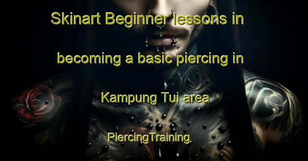 Skinart Beginner lessons in becoming a basic piercing in Kampung Tui area | PiercingTraining | PiercingClasses | SkinartTraining-Malaysia