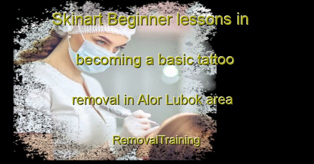 Skinart Beginner lessons in becoming a basic tattoo removal in Alor Lubok area | RemovalTraining | RemovalClasses | SkinartTraining-Malaysia