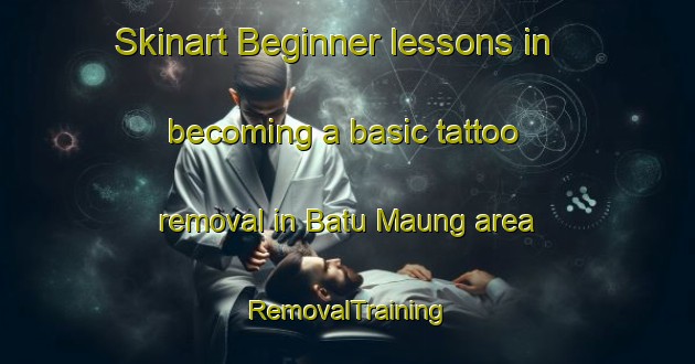 Skinart Beginner lessons in becoming a basic tattoo removal in Batu Maung area | RemovalTraining | RemovalClasses | SkinartTraining-Malaysia