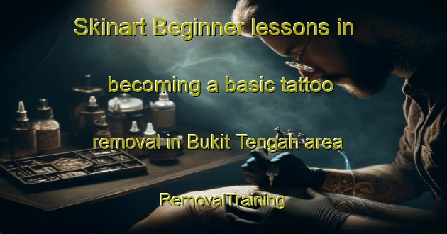 Skinart Beginner lessons in becoming a basic tattoo removal in Bukit Tengah area | RemovalTraining | RemovalClasses | SkinartTraining-Malaysia