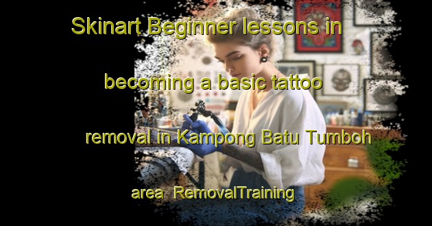 Skinart Beginner lessons in becoming a basic tattoo removal in Kampong Batu Tumboh area | RemovalTraining | RemovalClasses | SkinartTraining-Malaysia