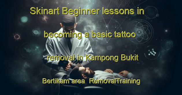 Skinart Beginner lessons in becoming a basic tattoo removal in Kampong Bukit Bertikam area | RemovalTraining | RemovalClasses | SkinartTraining-Malaysia