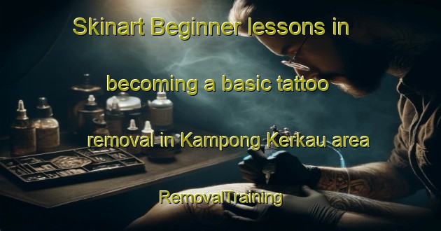 Skinart Beginner lessons in becoming a basic tattoo removal in Kampong Kerkau area | RemovalTraining | RemovalClasses | SkinartTraining-Malaysia