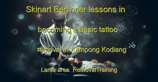Skinart Beginner lessons in becoming a basic tattoo removal in Kampong Kodiang Lama area | RemovalTraining | RemovalClasses | SkinartTraining-Malaysia