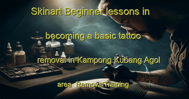 Skinart Beginner lessons in becoming a basic tattoo removal in Kampong Kubang Agol area | RemovalTraining | RemovalClasses | SkinartTraining-Malaysia