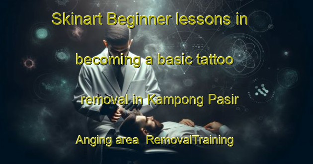 Skinart Beginner lessons in becoming a basic tattoo removal in Kampong Pasir Anging area | RemovalTraining | RemovalClasses | SkinartTraining-Malaysia