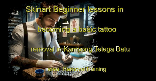 Skinart Beginner lessons in becoming a basic tattoo removal in Kampong Telaga Batu area | RemovalTraining | RemovalClasses | SkinartTraining-Malaysia