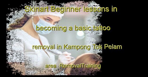Skinart Beginner lessons in becoming a basic tattoo removal in Kampong Tok Pelam area | RemovalTraining | RemovalClasses | SkinartTraining-Malaysia