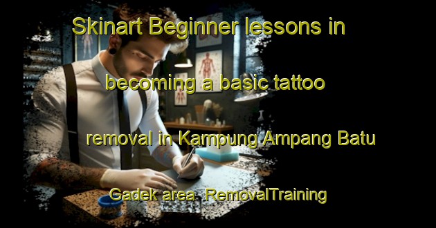Skinart Beginner lessons in becoming a basic tattoo removal in Kampung Ampang Batu Gadek area | RemovalTraining | RemovalClasses | SkinartTraining-Malaysia
