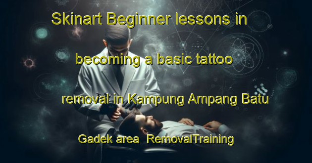 Skinart Beginner lessons in becoming a basic tattoo removal in Kampung Ampang Batu Gadek area | RemovalTraining | RemovalClasses | SkinartTraining-Malaysia