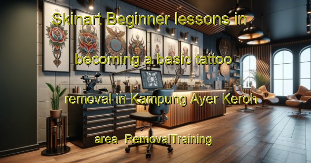 Skinart Beginner lessons in becoming a basic tattoo removal in Kampung Ayer Keroh area | RemovalTraining | RemovalClasses | SkinartTraining-Malaysia