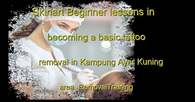Skinart Beginner lessons in becoming a basic tattoo removal in Kampung Ayer Kuning area | RemovalTraining | RemovalClasses | SkinartTraining-Malaysia