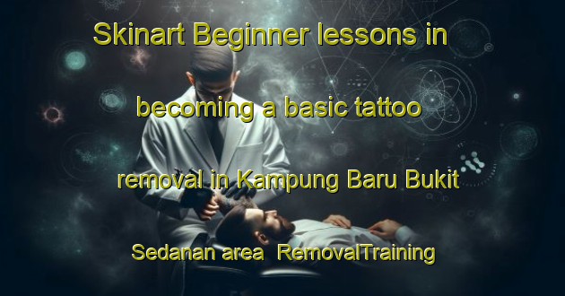 Skinart Beginner lessons in becoming a basic tattoo removal in Kampung Baru Bukit Sedanan area | RemovalTraining | RemovalClasses | SkinartTraining-Malaysia