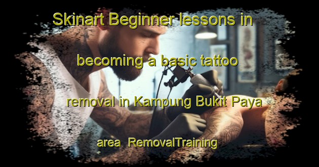Skinart Beginner lessons in becoming a basic tattoo removal in Kampung Bukit Paya area | RemovalTraining | RemovalClasses | SkinartTraining-Malaysia