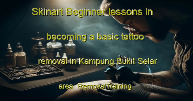 Skinart Beginner lessons in becoming a basic tattoo removal in Kampung Bukit Selar area | RemovalTraining | RemovalClasses | SkinartTraining-Malaysia