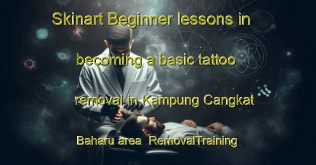 Skinart Beginner lessons in becoming a basic tattoo removal in Kampung Cangkat Baharu area | RemovalTraining | RemovalClasses | SkinartTraining-Malaysia