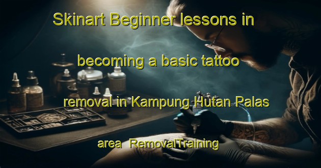 Skinart Beginner lessons in becoming a basic tattoo removal in Kampung Hutan Palas area | RemovalTraining | RemovalClasses | SkinartTraining-Malaysia