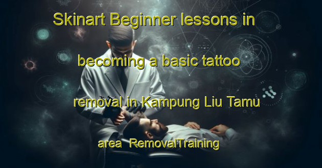 Skinart Beginner lessons in becoming a basic tattoo removal in Kampung Liu Tamu area | RemovalTraining | RemovalClasses | SkinartTraining-Malaysia