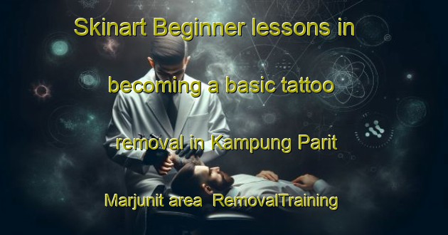 Skinart Beginner lessons in becoming a basic tattoo removal in Kampung Parit Marjunit area | RemovalTraining | RemovalClasses | SkinartTraining-Malaysia