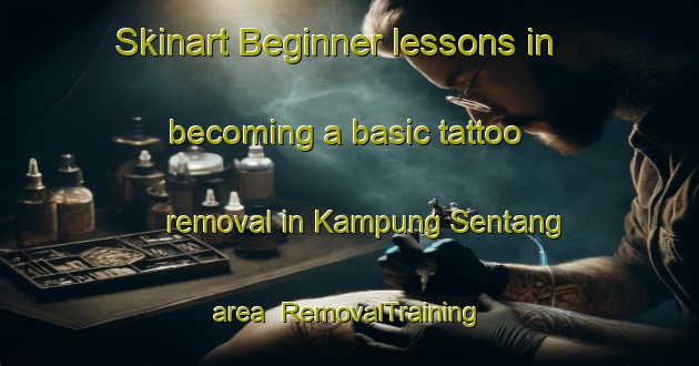 Skinart Beginner lessons in becoming a basic tattoo removal in Kampung Sentang area | RemovalTraining | RemovalClasses | SkinartTraining-Malaysia