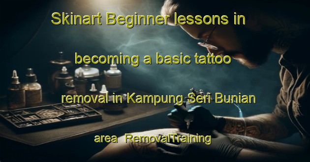 Skinart Beginner lessons in becoming a basic tattoo removal in Kampung Seri Bunian area | RemovalTraining | RemovalClasses | SkinartTraining-Malaysia