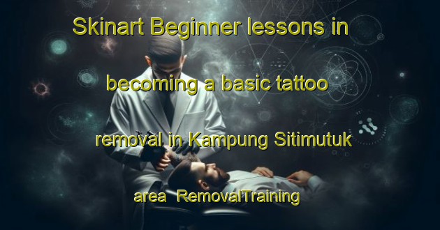 Skinart Beginner lessons in becoming a basic tattoo removal in Kampung Sitimutuk area | RemovalTraining | RemovalClasses | SkinartTraining-Malaysia