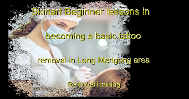 Skinart Beginner lessons in becoming a basic tattoo removal in Long Merigong area | RemovalTraining | RemovalClasses | SkinartTraining-Malaysia