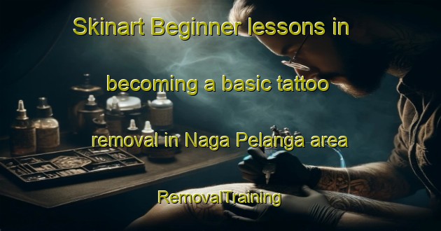 Skinart Beginner lessons in becoming a basic tattoo removal in Naga Pelanga area | RemovalTraining | RemovalClasses | SkinartTraining-Malaysia