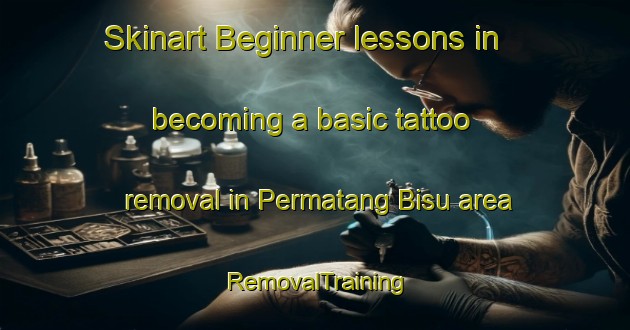 Skinart Beginner lessons in becoming a basic tattoo removal in Permatang Bisu area | RemovalTraining | RemovalClasses | SkinartTraining-Malaysia