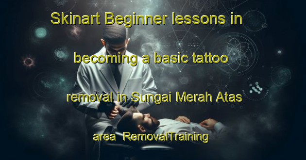 Skinart Beginner lessons in becoming a basic tattoo removal in Sungai Merah Atas area | RemovalTraining | RemovalClasses | SkinartTraining-Malaysia
