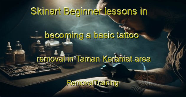 Skinart Beginner lessons in becoming a basic tattoo removal in Taman Keramat area | RemovalTraining | RemovalClasses | SkinartTraining-Malaysia