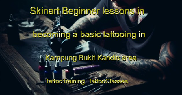 Skinart Beginner lessons in becoming a basic tattooing in Kampung Bukit Kandis area | TattooTraining | TattooClasses | SkinartTraining-Malaysia